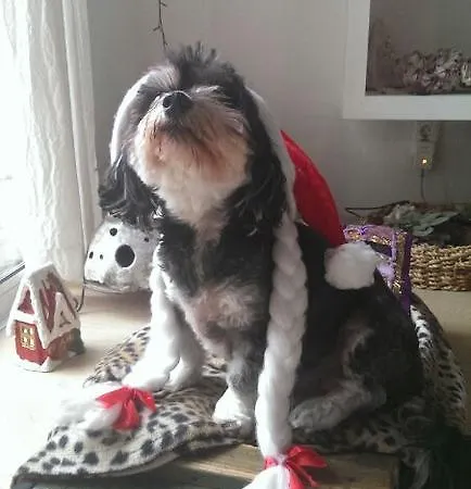 招待所 Guest House More 3*