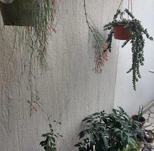 Guest House More Gasthof Rijeka