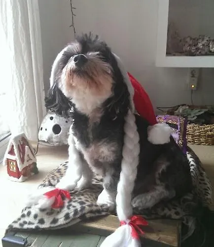 Gasthof Guest House More 3*